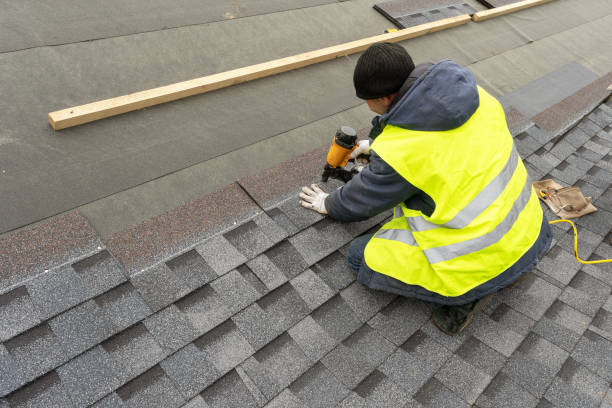 Best Roof Gutter Cleaning  in Coal City, WV