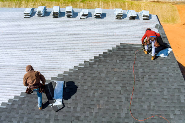 Best Shingle Roofing Installation  in Coal City, WV